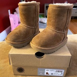 Uggs boots
